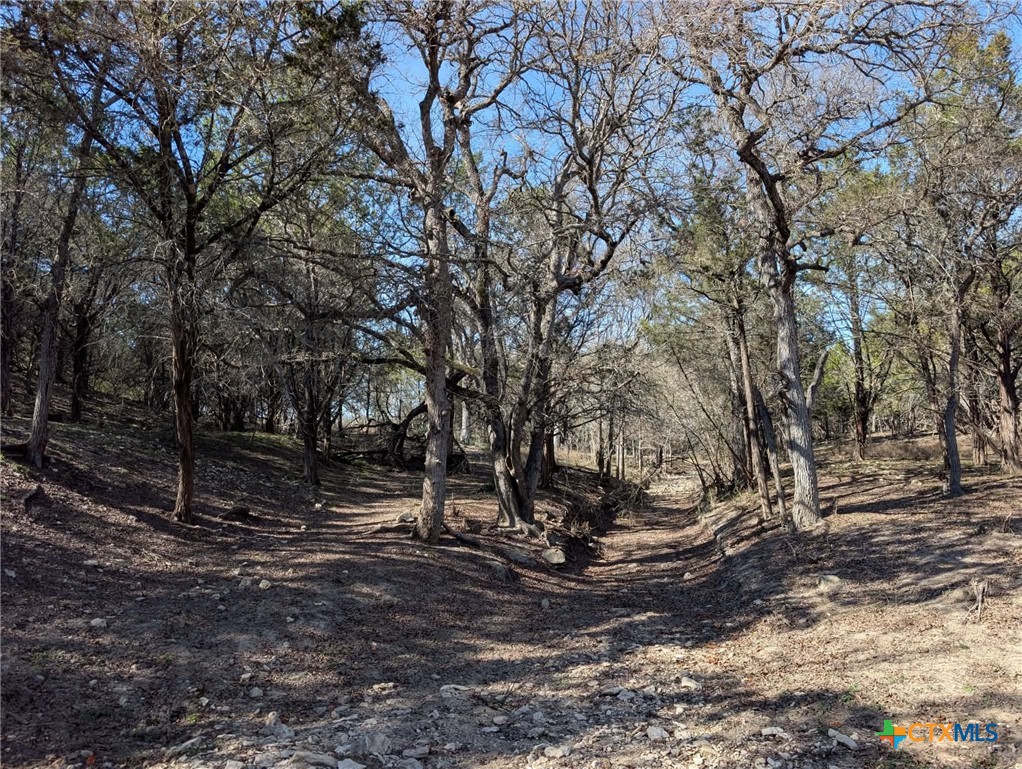 main property photo 35