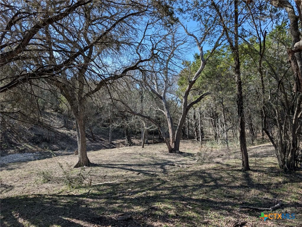 main property photo 37