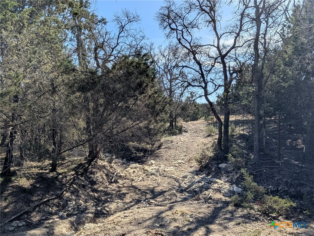 main property photo 38