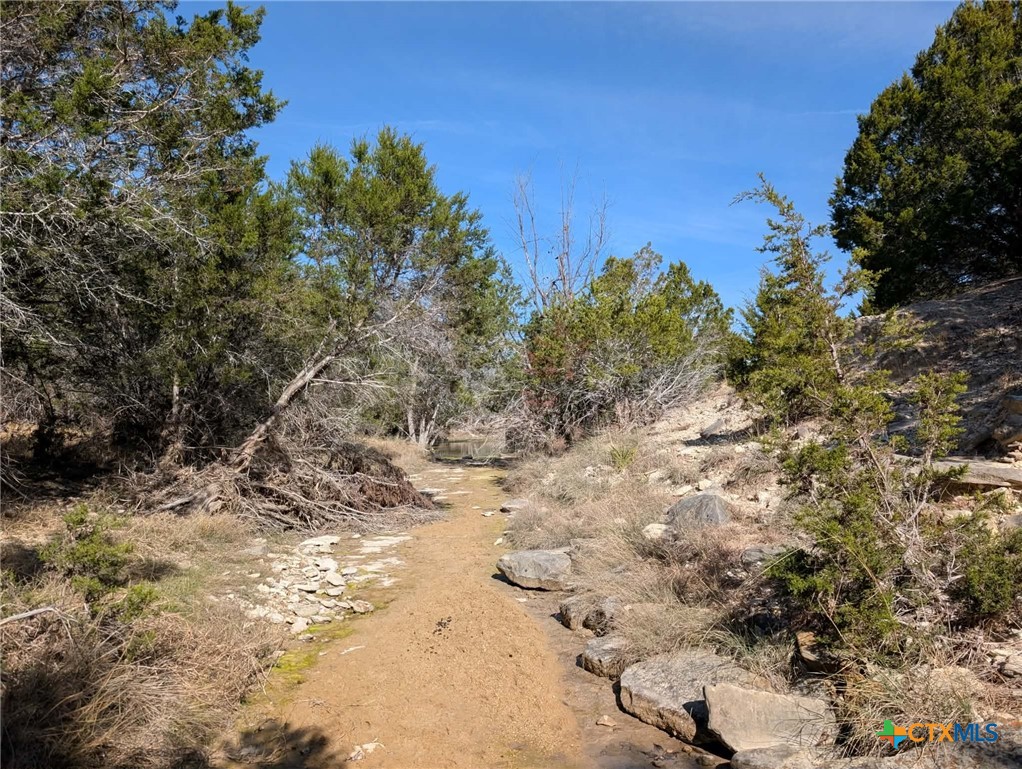 main property photo 39