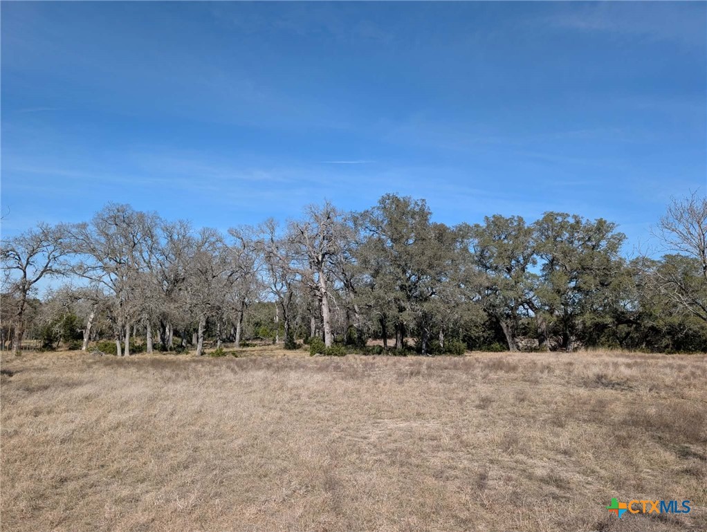 main property photo 41
