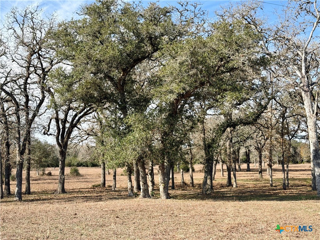 main property photo 35