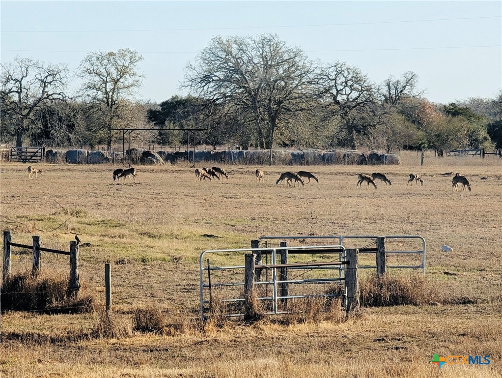 main property photo 39