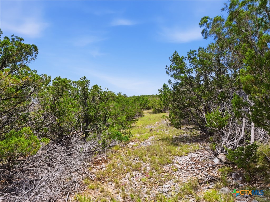 main property photo 11