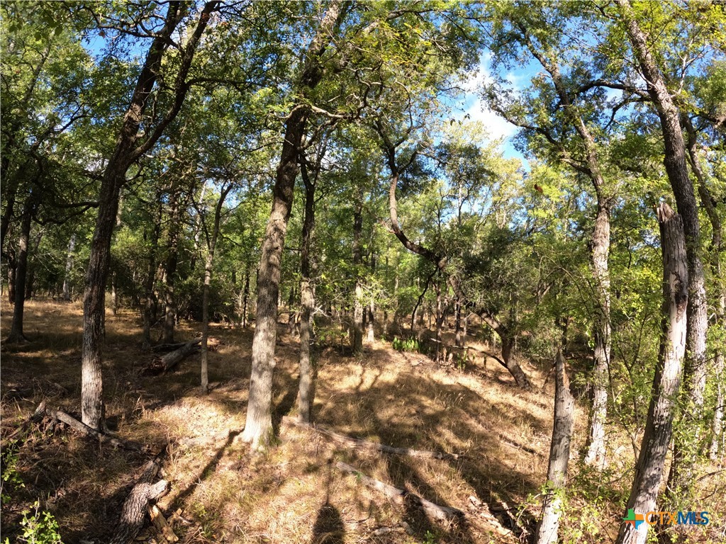 main property photo 14