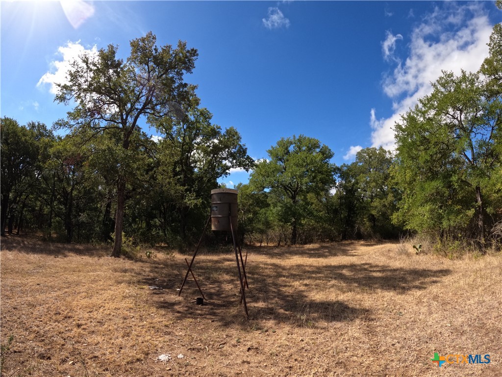 main property photo 17