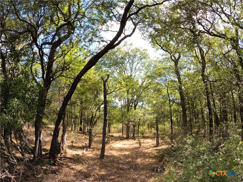 main property photo 18