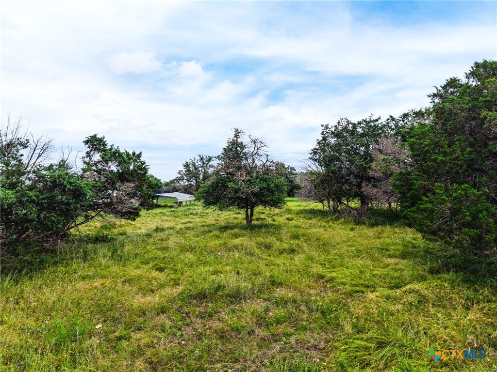 main property photo 43