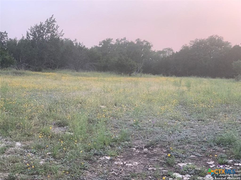 main property photo 16