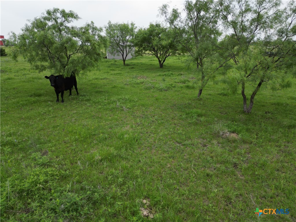 main property photo 10