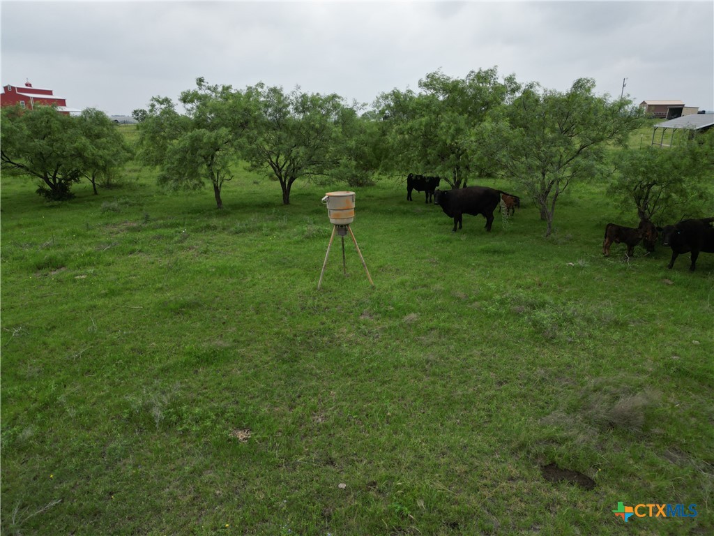 main property photo 9