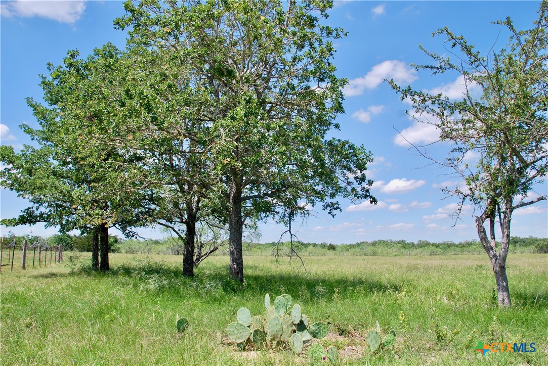 main property photo 37