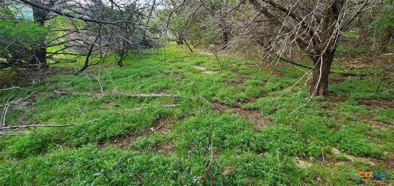 main property photo 11
