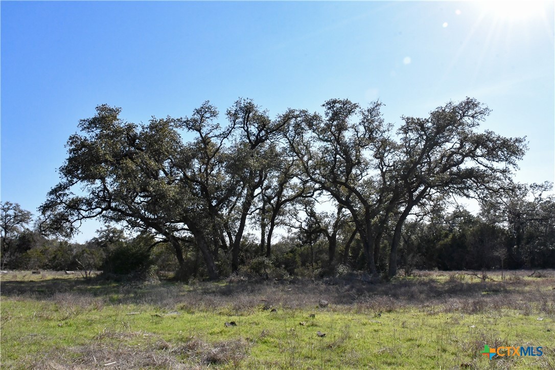 main property photo 11