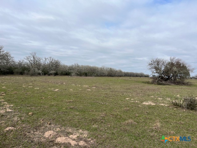 main property photo 10