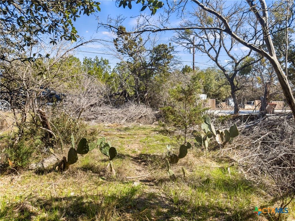 main property photo 6