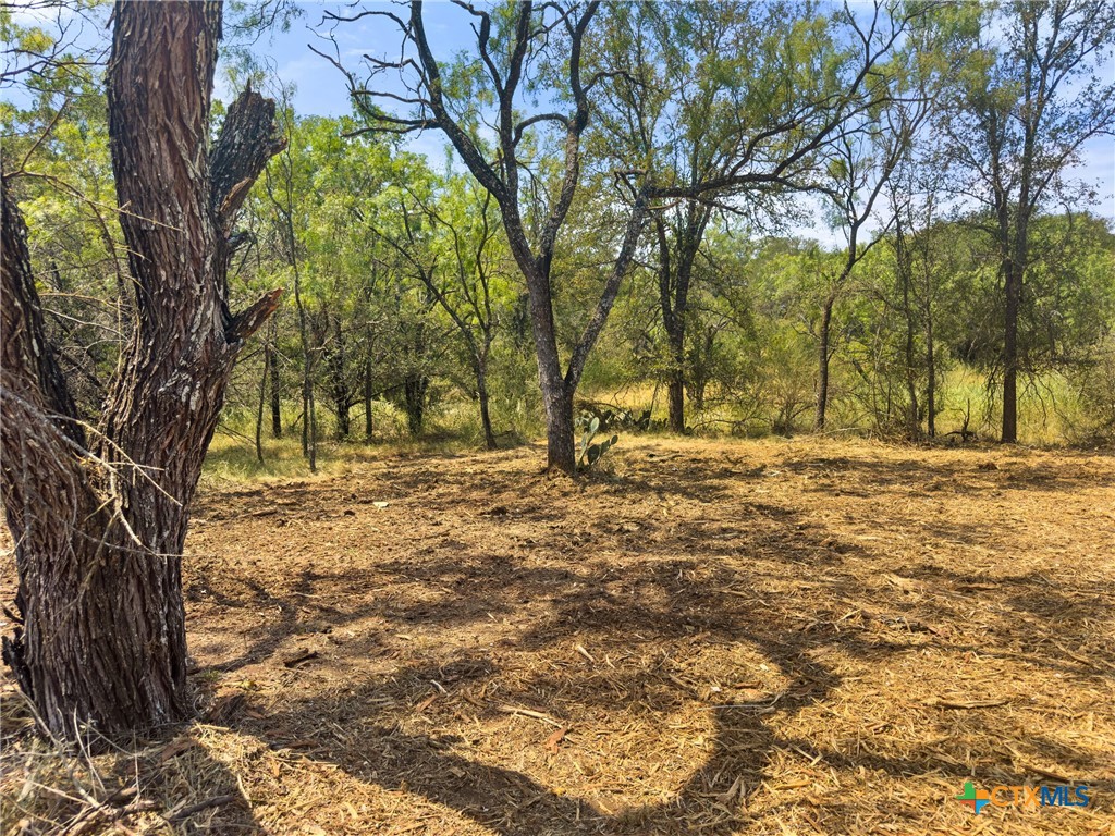 main property photo 10