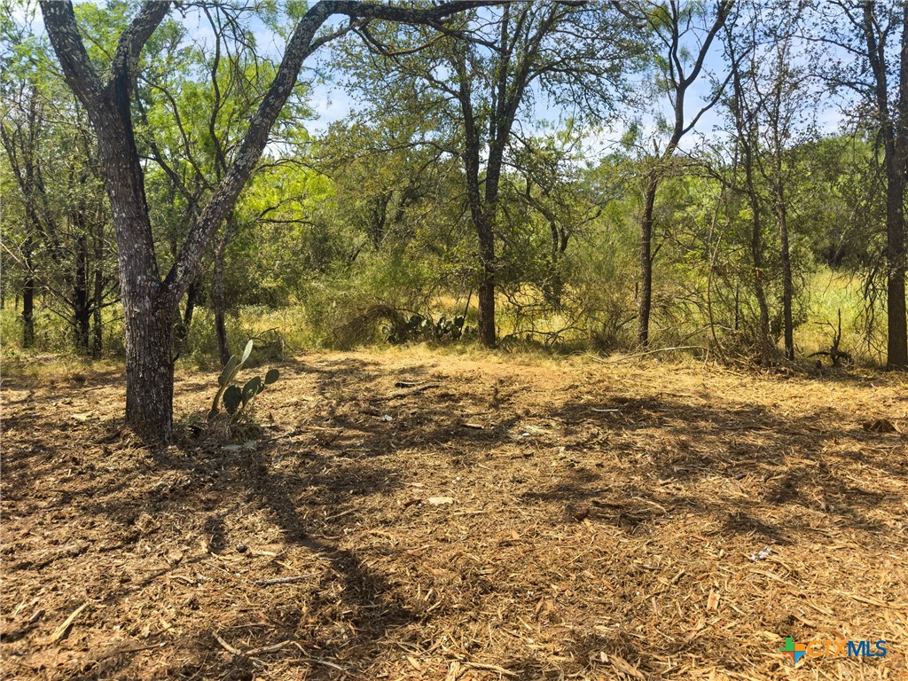 main property photo 11