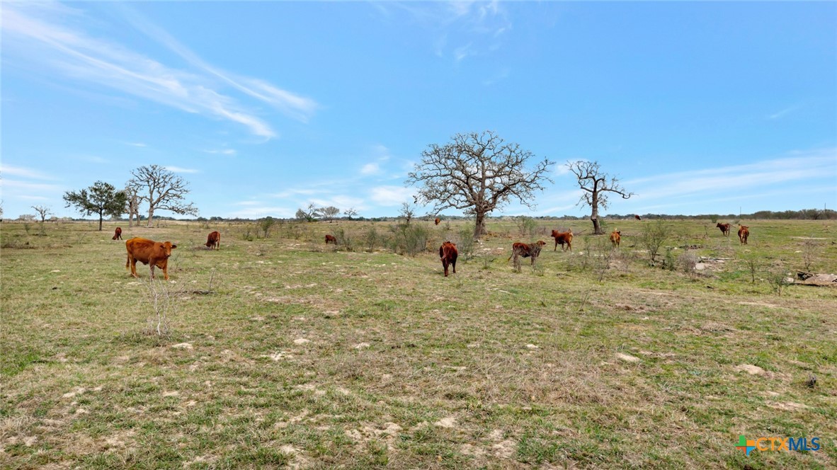 main property photo 16