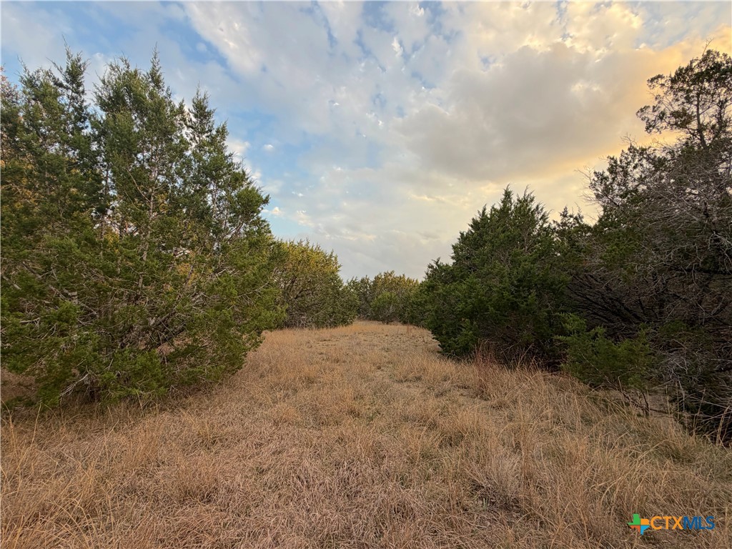 main property photo 24