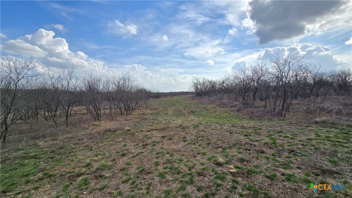 main property photo 16
