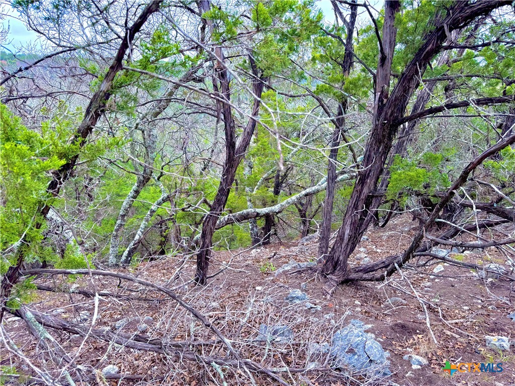 main property photo 11
