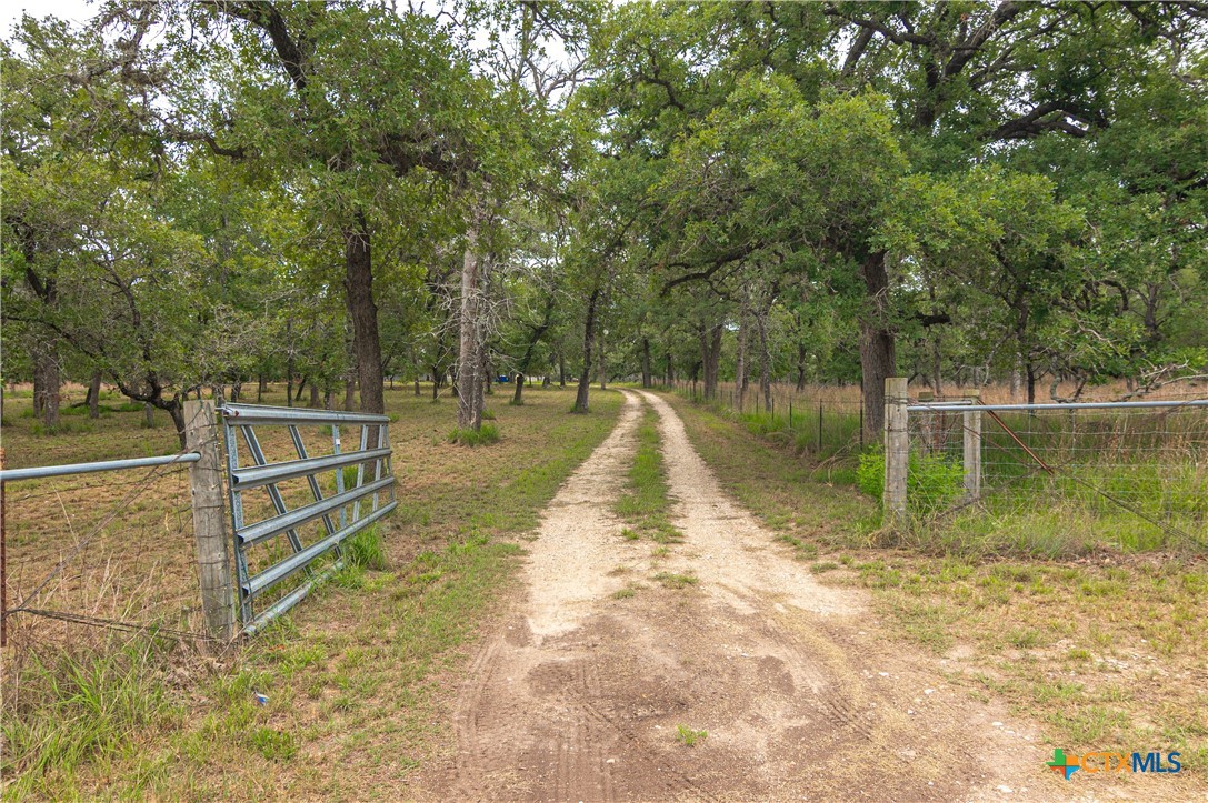 main property photo 41
