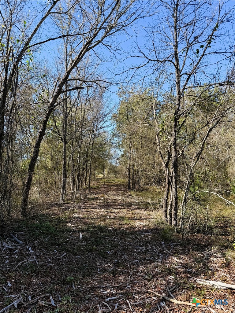 main property photo 43