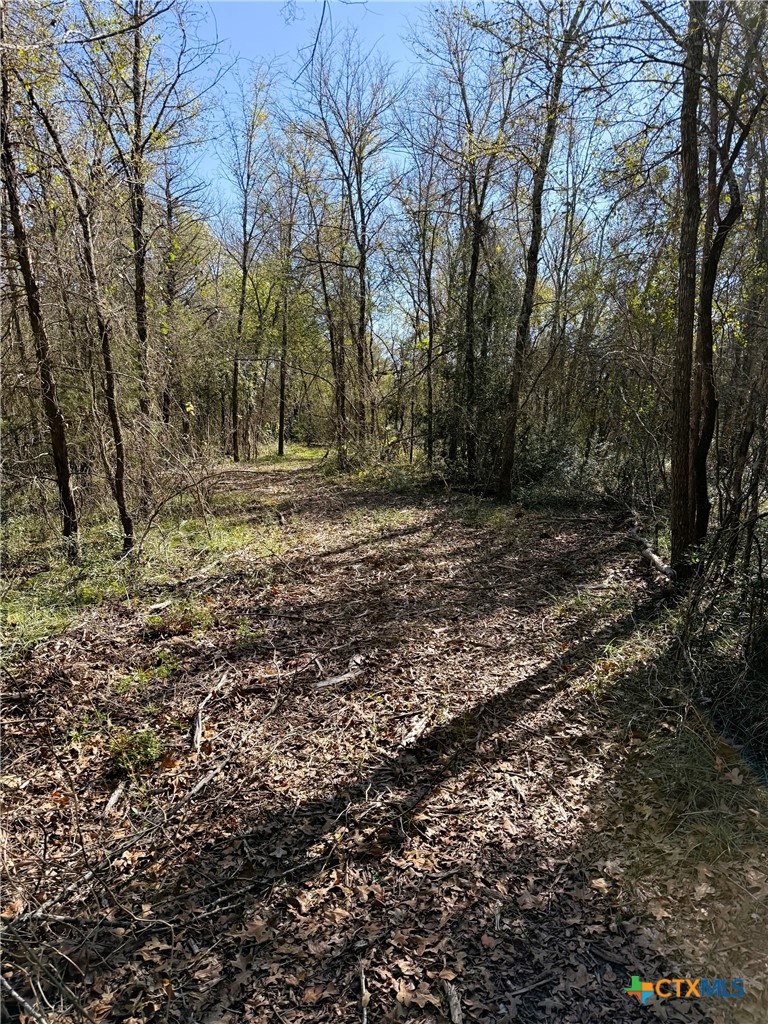 main property photo 44