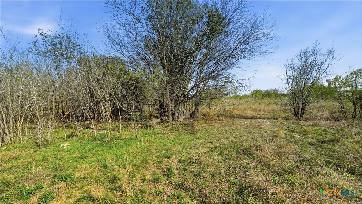 main property photo 41