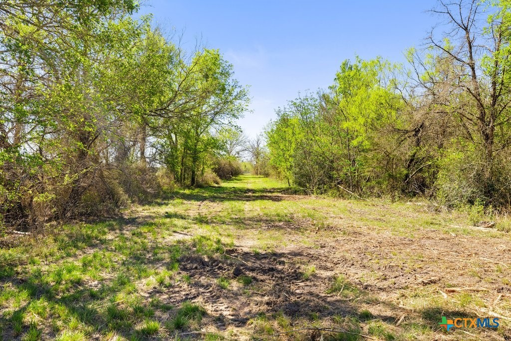 main property photo 37