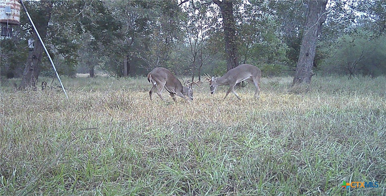 main property photo 39