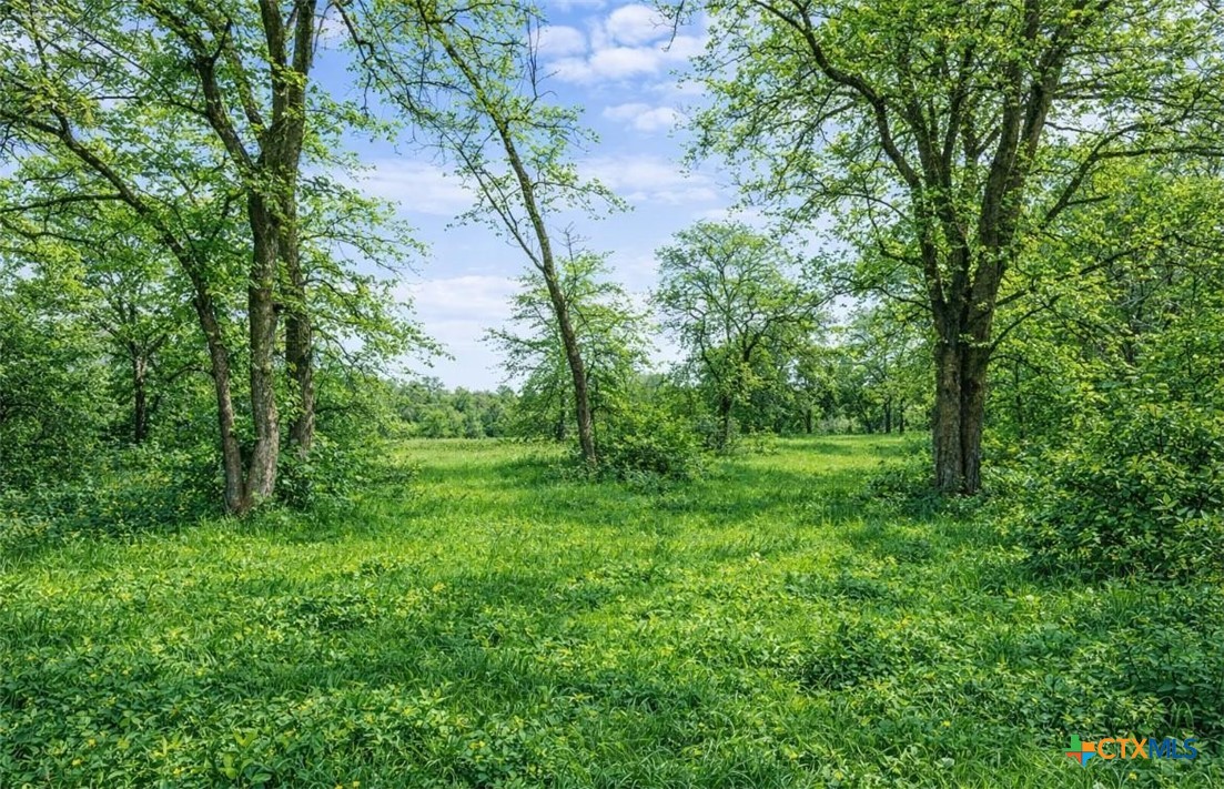 main property photo 9