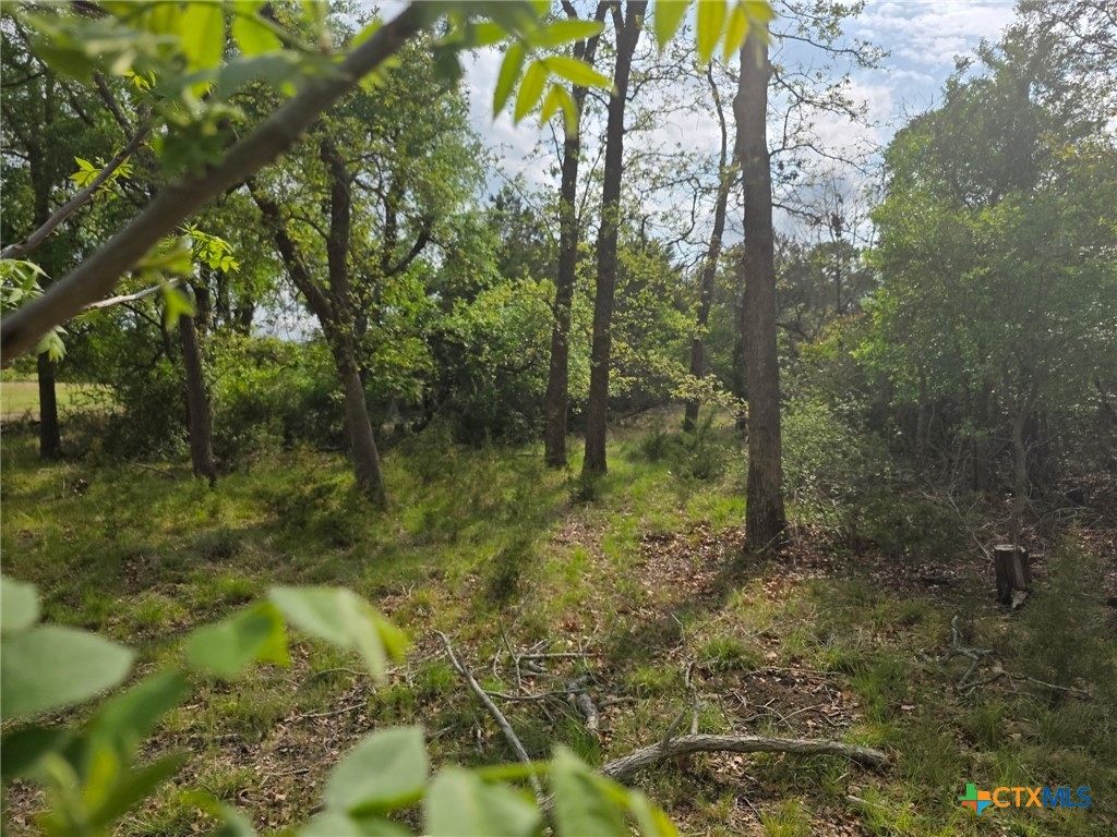 main property photo 16