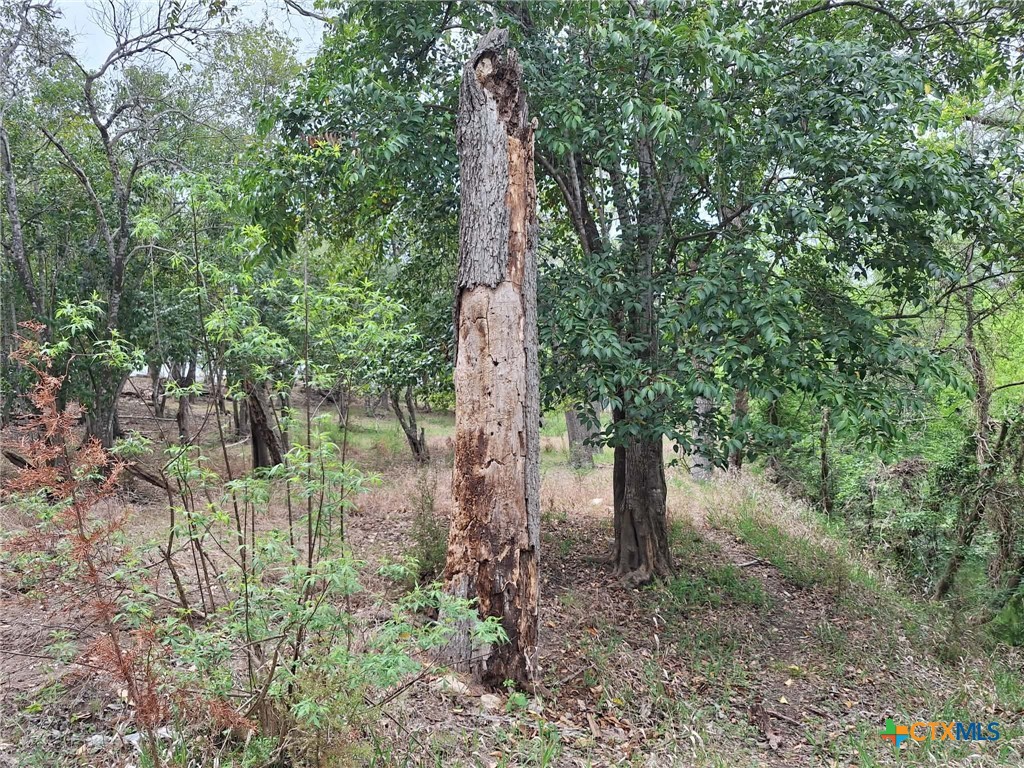 main property photo 12