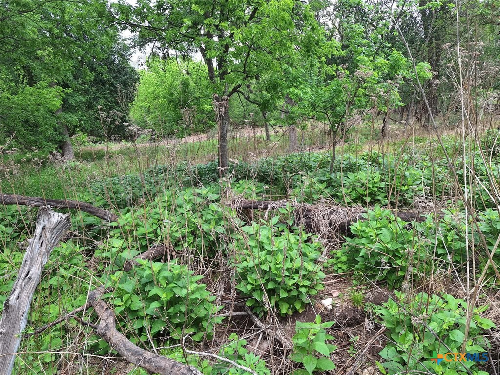 main property photo 9