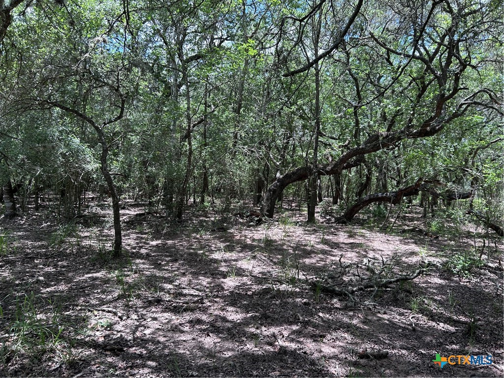 main property photo 11