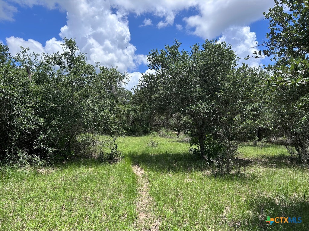 main property photo 15