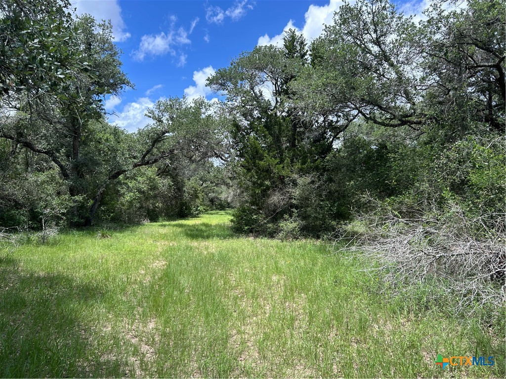 main property photo 18