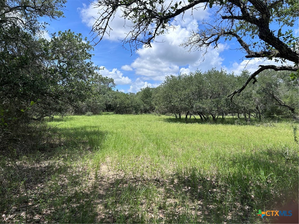 main property photo 21