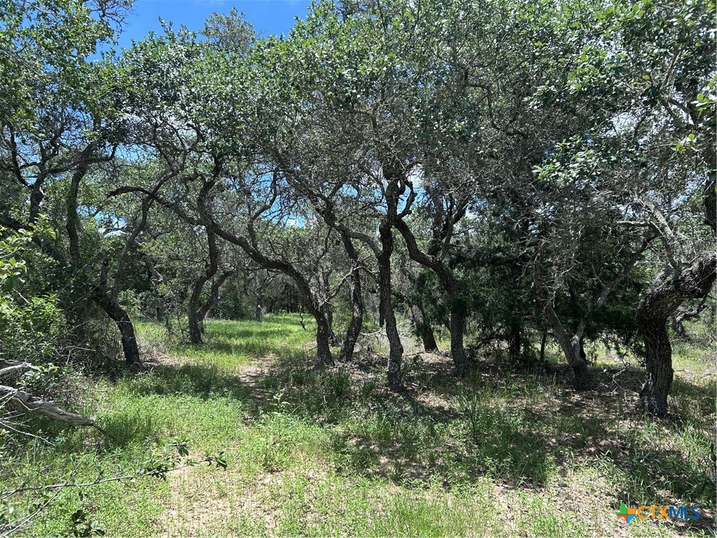 main property photo 25