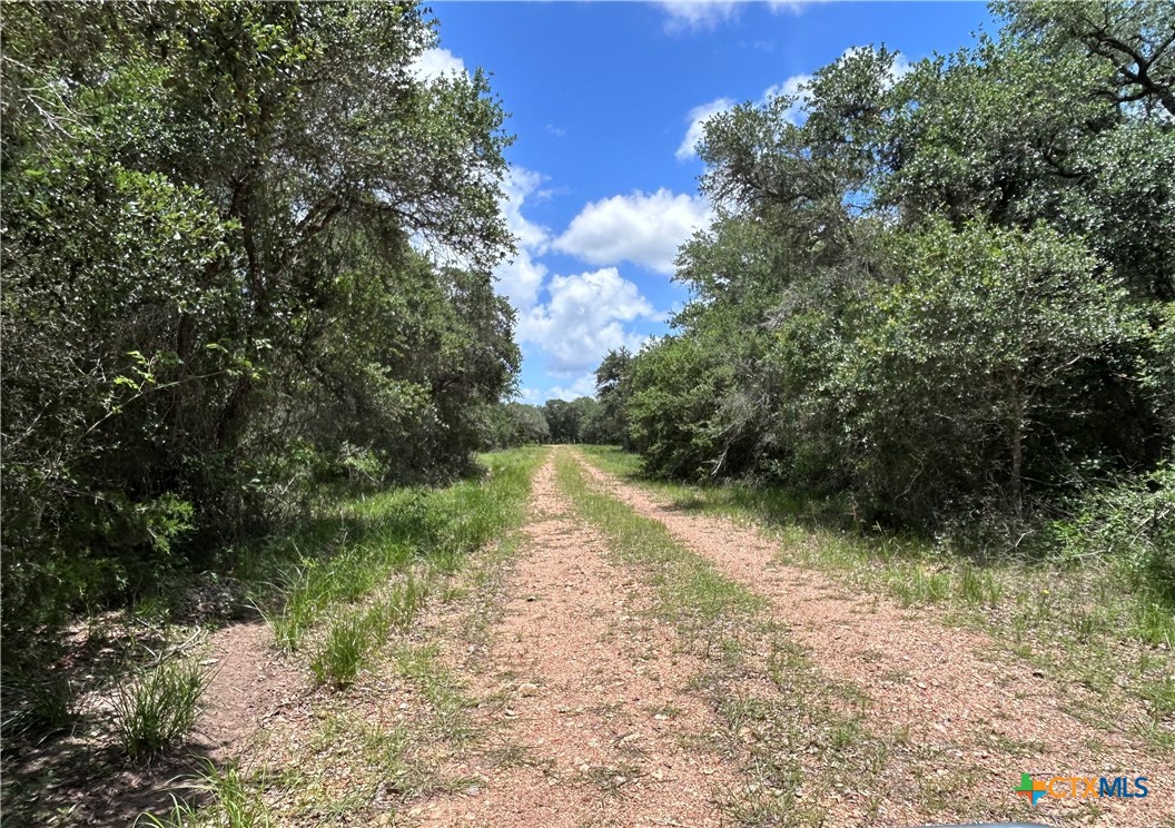 main property photo 9