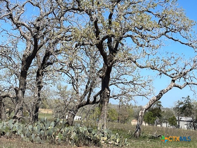 main property photo 10