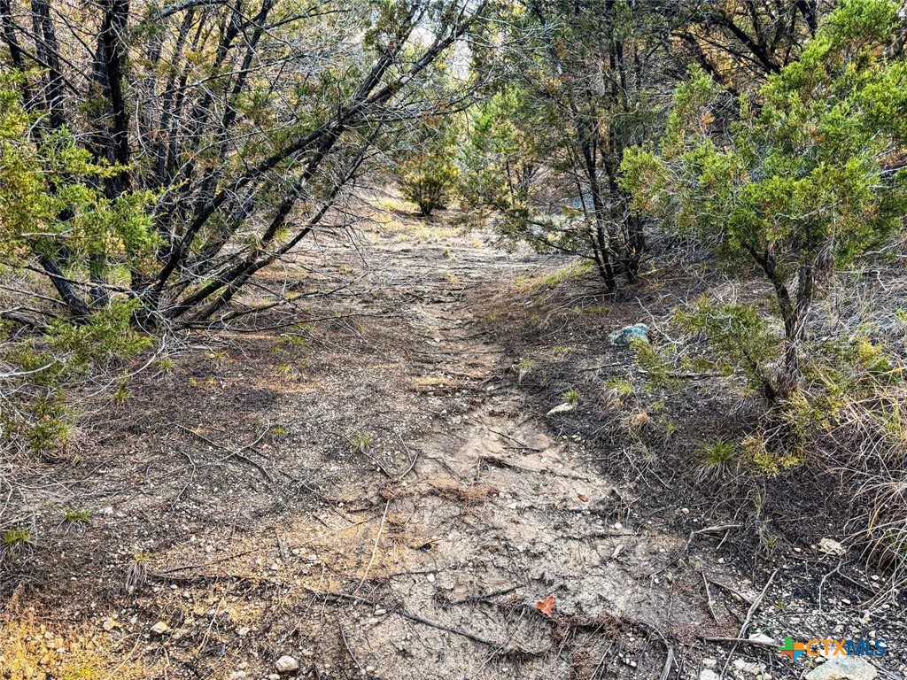 main property photo 38