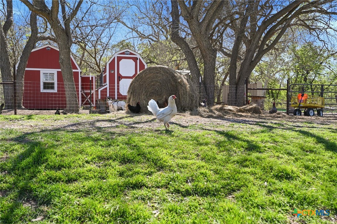 main property photo 38
