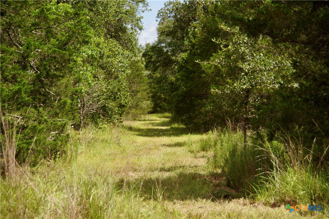 main property photo 34