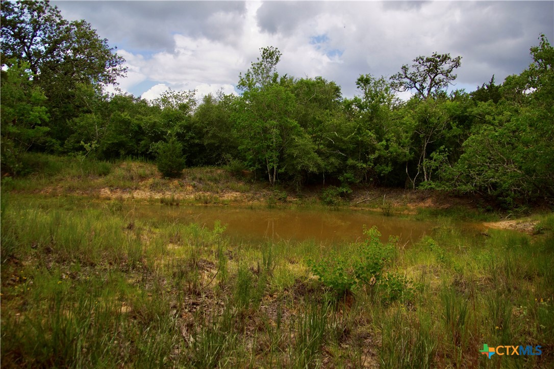 main property photo 38