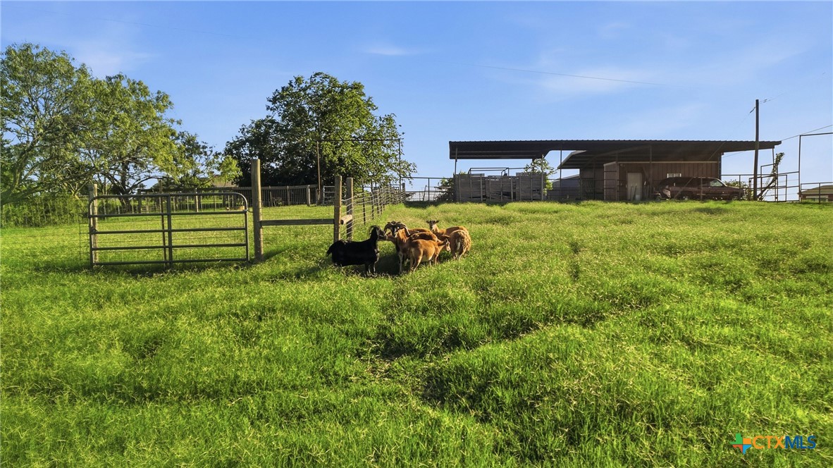 main property photo 13