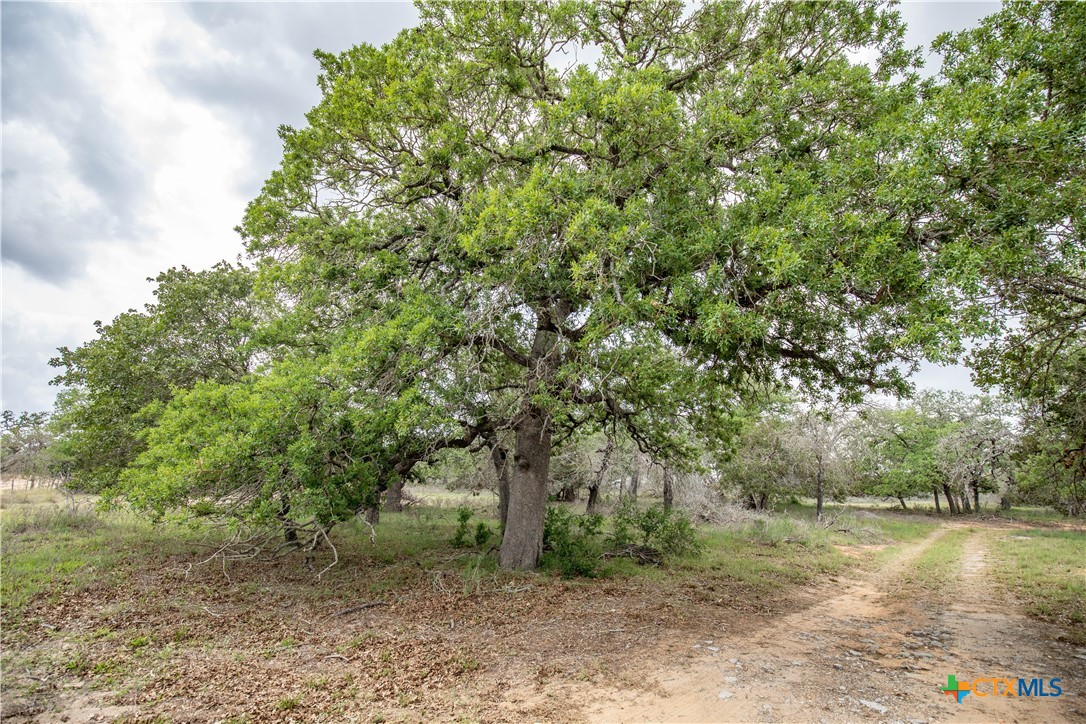 main property photo 11