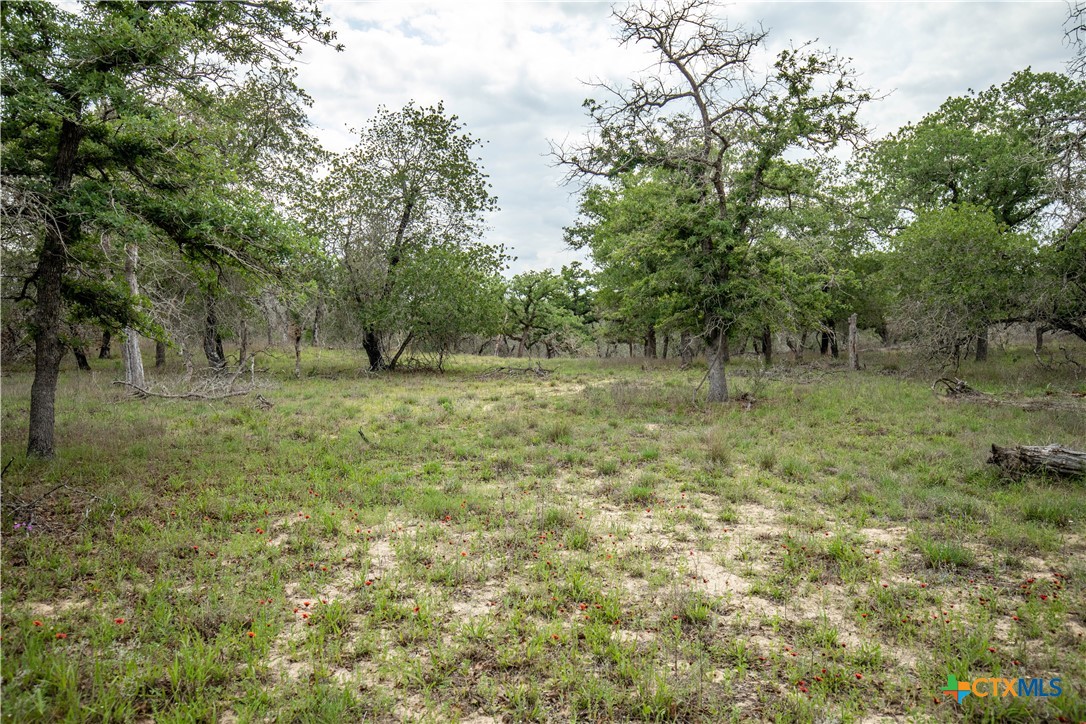 main property photo 43